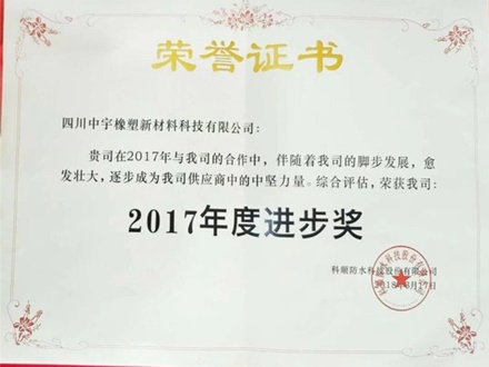 2017年供应商进步奖